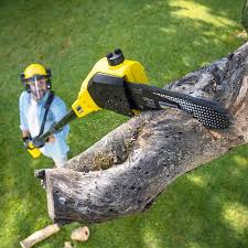 Leaf Removal in Hellertown, PA